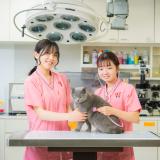 「愛玩動物看護師」合格率100％！動物看護・栄養管理学科！の詳細