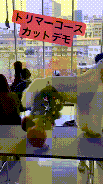 OCカメラサムネイル画像