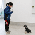 九州動物学院 第2回　犬の驚異の能力を体験しよう！～犬の訓練の実践～