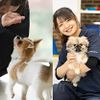 専門学校　福岡ビジョナリーアーツ 【ペット】ワンコと一緒によくばり体験