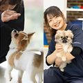 【ペット】ワンコと一緒によくばり体験／専門学校　福岡ビジョナリーアーツ