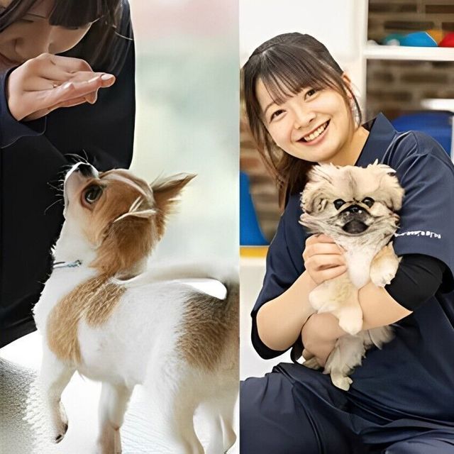 専門学校　福岡ビジョナリーアーツ 【ペット】ワンコと一緒によくばり体験1
