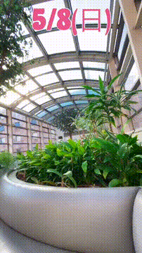 OCカメラサムネイル画像