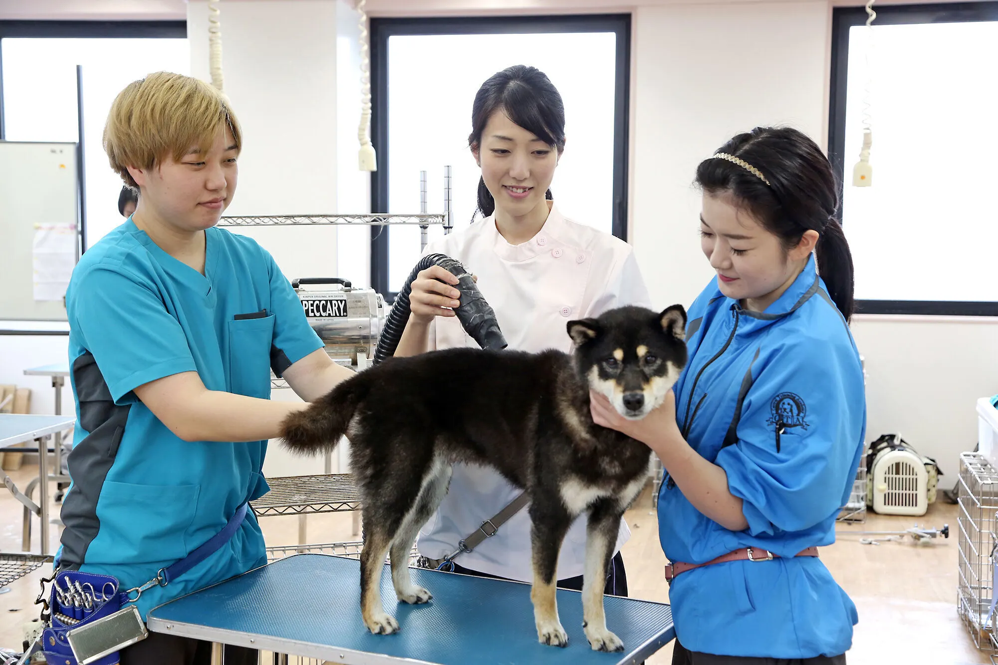 セントラル動物専門学校 | 資料請求・願書請求・学校案内【スタディ