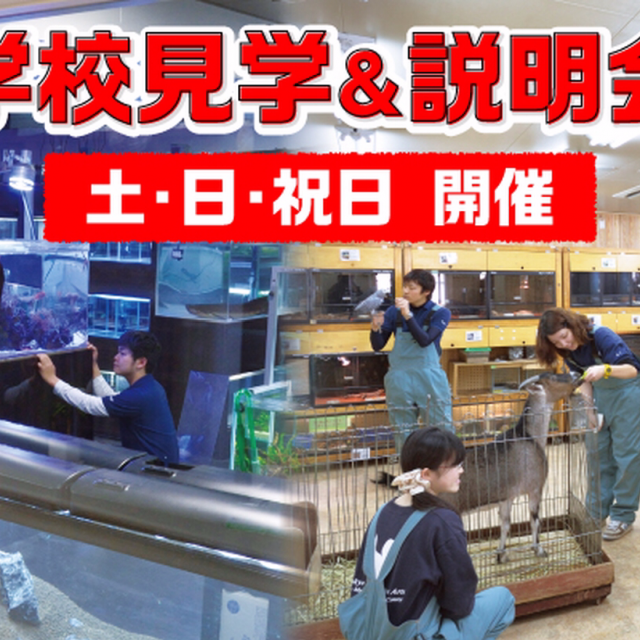 東京コミュニケーションアート専門学校 学校説明会&見学会1