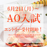 AO面談予約受付フォームの詳細