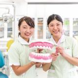 【歯科衛生学科】春の体験型オープンキャンパスの詳細