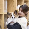 北海道どうぶつ・医療専門学校 【総合どうぶつ専攻】担当犬を選んでお世話に挑戦
