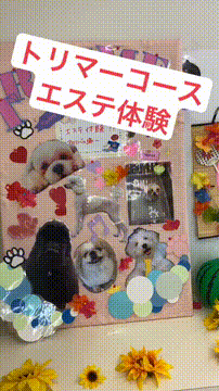 OCカメラサムネイル画像