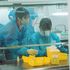 北海道科学大学 薬学部オープンキャンパス2