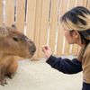 専門学校　福岡ビジョナリーアーツ 【ペット】 動物園飼育員 ×水族館飼育員