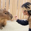 専門学校　福岡ビジョナリーアーツ 【ペット】 動物園飼育員 ×水族館飼育員