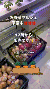 OCカメラサムネイル画像