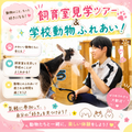 国際動物専門学校 学校説明会（選んだ学科を体験できる日）自然環境・動物飼育学科