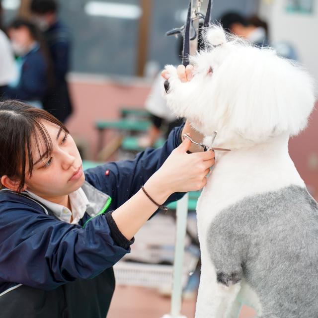国際ペットワールド専門学校 【オープンキャンパス】動物と一緒に楽しく進路研究！4