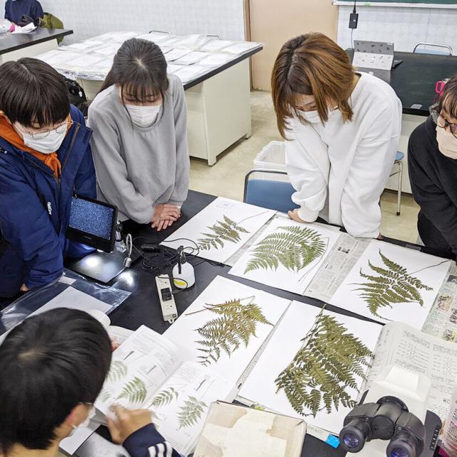 新潟の植物を標本で学ぼう!/日本自然環境専門学校のオープンキャンパス情報と予約申込【スタディサプリ 進路】 新潟の植物を標本で学ぼう!/日本自然環境専門学校のオープンキャンパス情報と予約申込【スタディサプリ 進路】