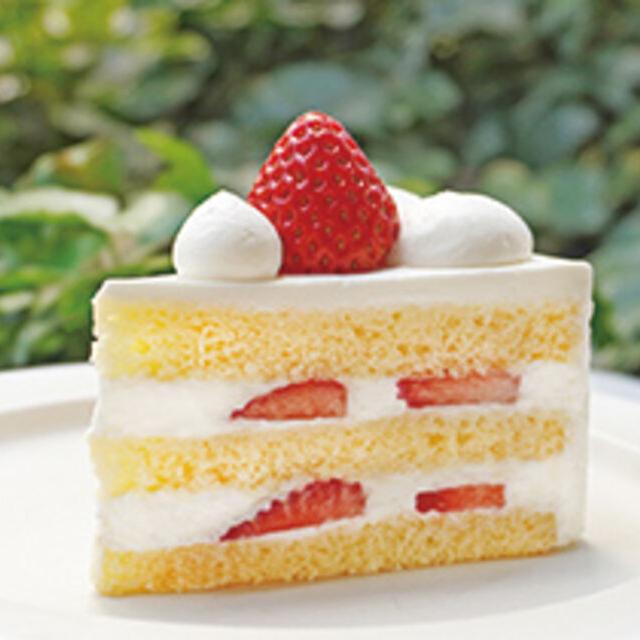 専門学校ビジョナリーアーツ 【ロング講座】王道ショートケーキ1