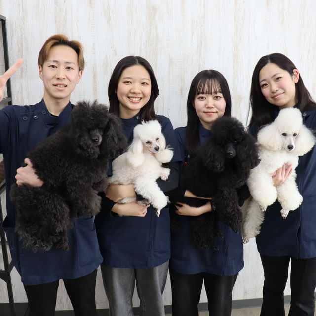 専門学校岡山ビジネスカレッジ メディカルトリマー学科｜ペットのおやつを作ってみよう♪1