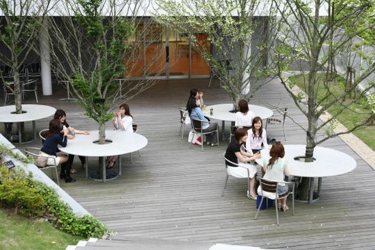 仙台白百合女子大学 偏差値 入試難易度 スタディサプリ 進路