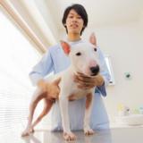 詳細を見る