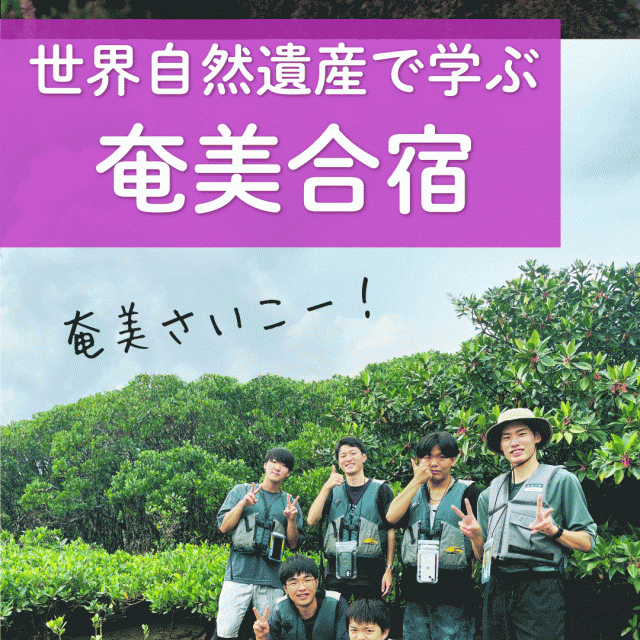 日本自然環境専門学校 【すぐ見れる動画】動物や植物について学ぶ！研究室紹介2