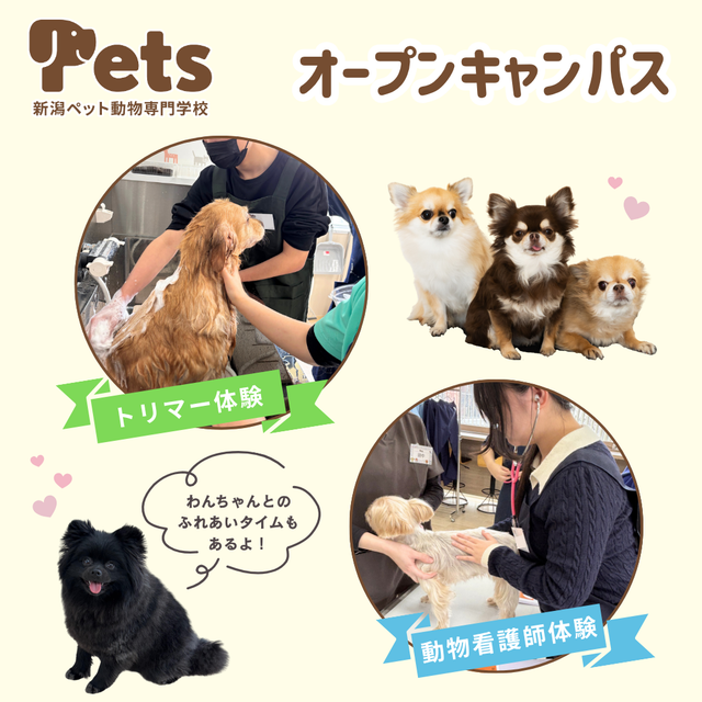 新潟ペット動物専門学校 【高校3年生】AO面談はこれでばっちり！入試対策オーキャン2