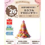 【お持ち帰り&体験＆試食】カラフルマカロンタワーの詳細