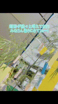 OCカメラサムネイル画像