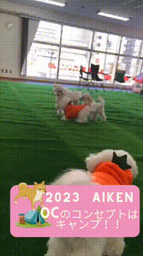 OCカメラサムネイル画像