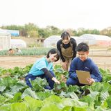 【スマート農業・品種改良】〇〇でおいしい作物づくりを学ぶ！の詳細