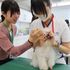 専門学校　ちば愛犬動物フラワー学園 【オープンキャンパス】5コースを自由体験♪タレント犬大集合！2