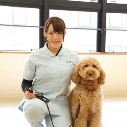 在校生レポート画像