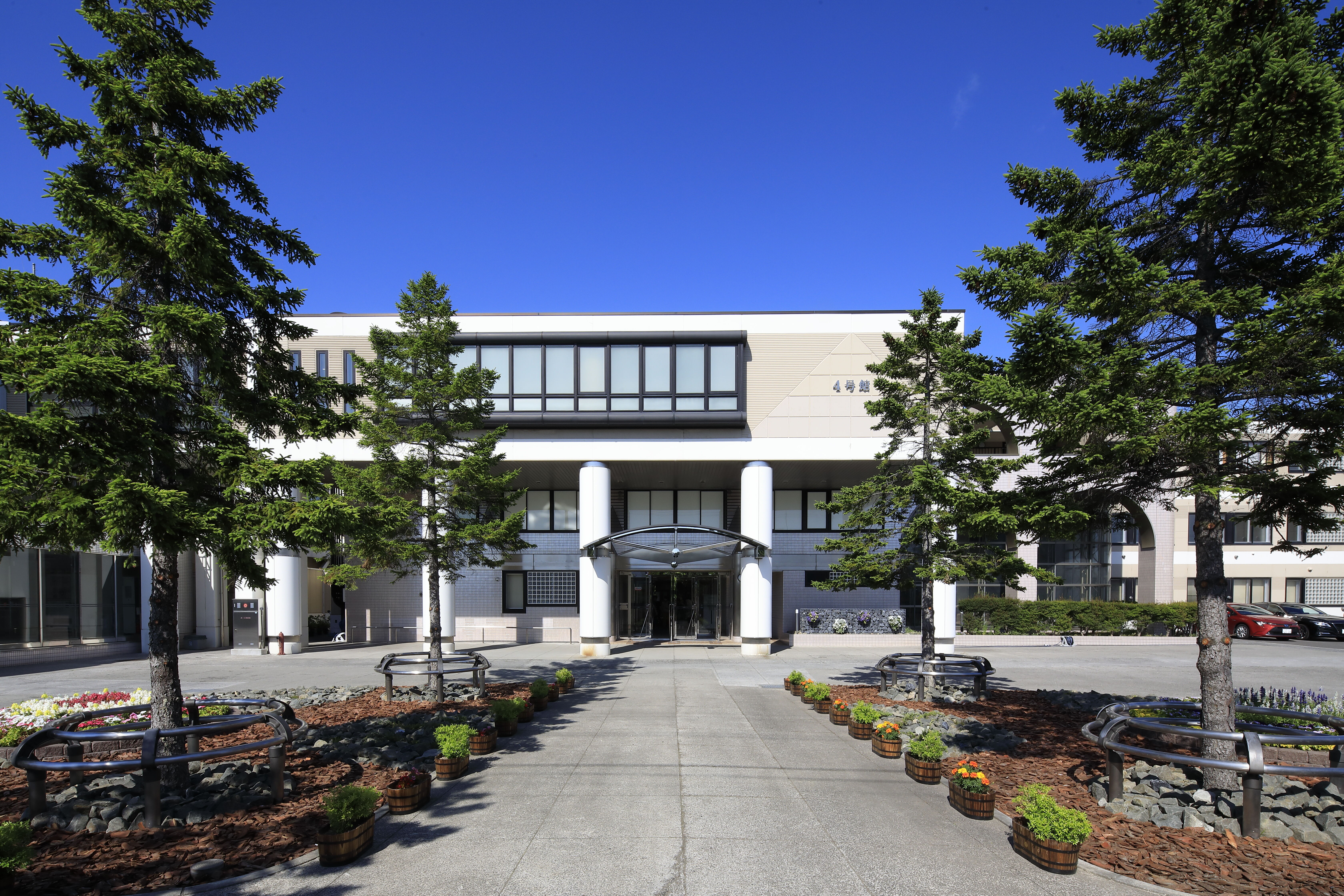 札幌保健医療大学 札幌保健医療大学 | 資料請求・願書請求・偏差値情報【スタディサプリ