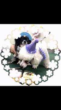 OCカメラサムネイル画像