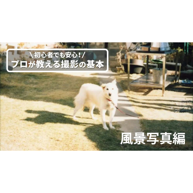 日本写真芸術専門学校 【日常を切り取る】プロが教える撮影の基本～風景写真編～1