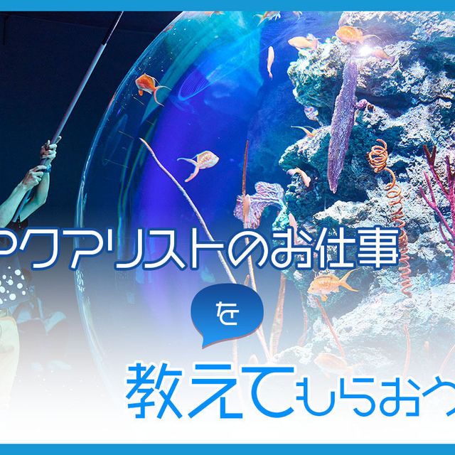 ＴＣＡ東京ＥＣＯ動物海洋専門学校 アクアリストのお仕事を教えてもらおう！1