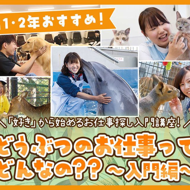 ＴＣＡ東京ＥＣＯ動物海洋専門学校 どうぶつのお仕事ってどんなの？？～入門編～1