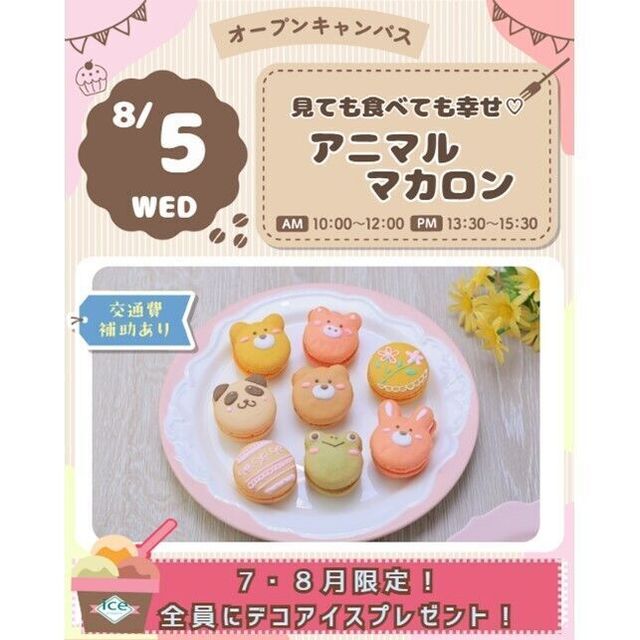 仙台スイーツ＆カフェ専門学校 【スイーツ体験＆試食】見ても食べても幸せ☆アニマルマカロン1
