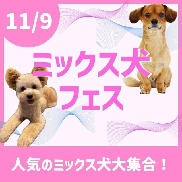 ＴＣＡ東京ＥＣＯ動物海洋専門学校 ミックス犬フェス！1
