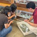 専門学校　ちば愛犬動物フラワー学園 【動物飼育】小動物･熱帯魚･爬虫類！選んで飼育員を体験！