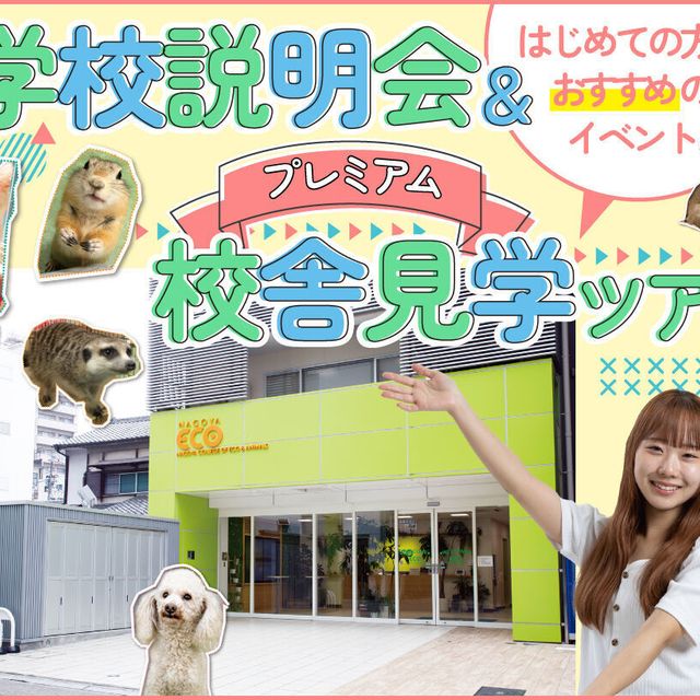名古屋ＥＣＯ動物海洋専門学校 学校説明会＆プレミアム校舎見学ツアー！1