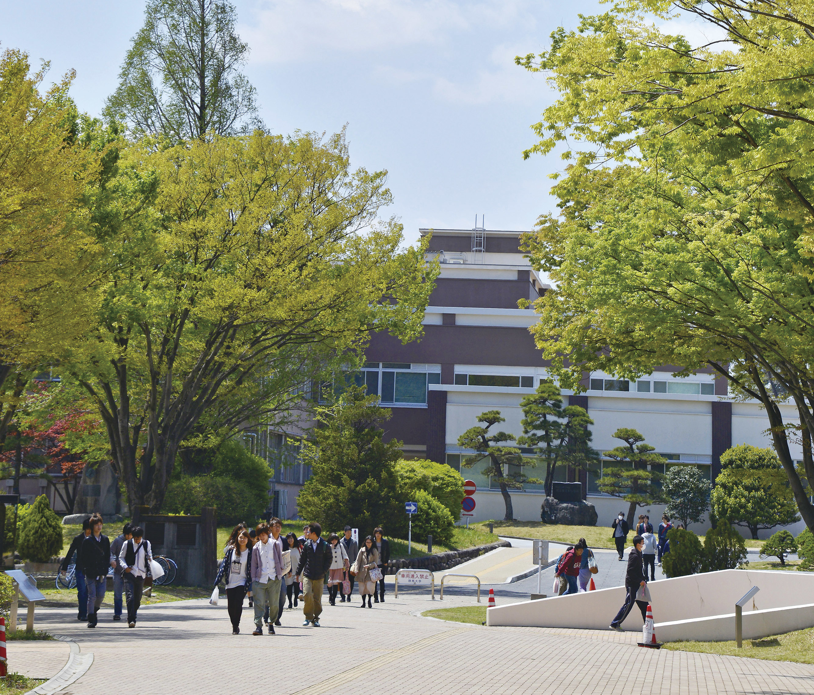 赤本 群馬大学 医学部 2000年～2024年 24年分 【公式通販】