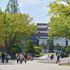 群馬大学 【情報学部】文理融合の４つのプログラム　※予約開始は6/251