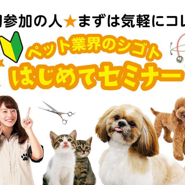大阪ビジネスカレッジ専門学校 まずは気軽にこれ♪ペット業界のシゴトはじめてセミナー !1