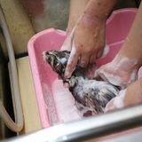 エキゾのきもち！の詳細