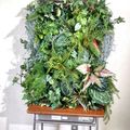 テクノ・ホルティ園芸専門学校 グリーンデザイン実習★観葉植物の壁面グリーンアートを作ろう！