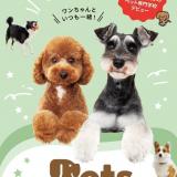短時間で参加OK！高校3年生・既卒向け個別相談会の詳細