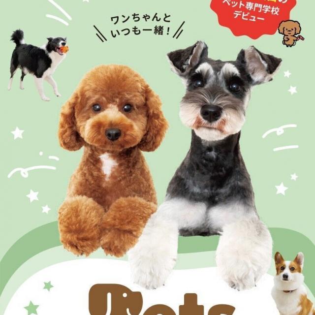 新潟ペット動物専門学校 短時間で参加OK！高校3年生・既卒向け個別相談会1