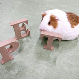 ペットショップスタッフのおシゴト体験♪の詳細