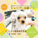 シャンプーorカット体験の詳細